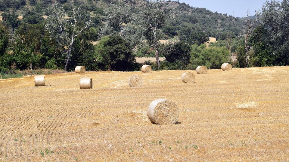 Paisatge amb bales de palla 6 de Juliol de 2025 Paisatge amb bales de palla Castellfollit de Riubregós - Ramon Sunyer