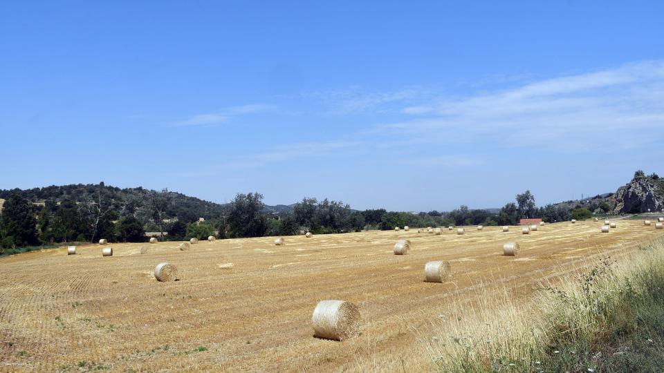 Paisatge amb bales de palla 6 de Juliol de 2025 Paisatge amb bales de palla Castellfollit de Riubregós - Ramon Sunyer