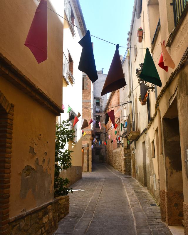 paperins 29 de Agost de 2025 paperins Torà - Ramon Sunyer