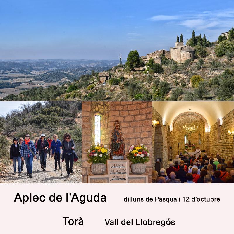cartell Aplec de tardor a l'Aguda 2025 cartell Aplec de tardor a l'Aguda 2025