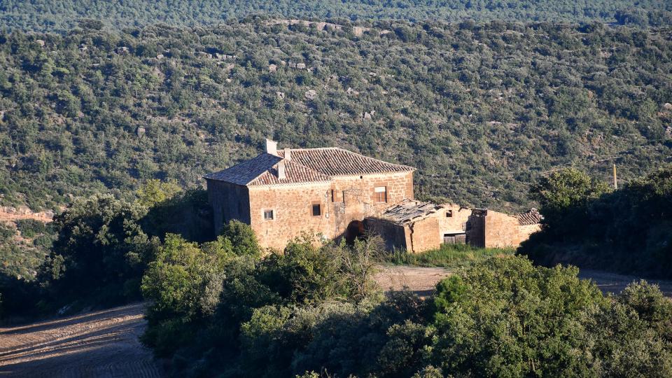 27 de Setembre de 2025 Mas Clavells  Vallferosa -  Ramon Sunyer