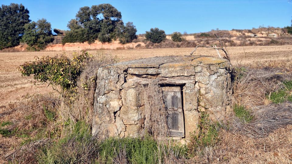 Pou a mas el Puig 27 de Setembre de 2025 Pou a mas el Puig Vallferosa - Ramon Sunyer