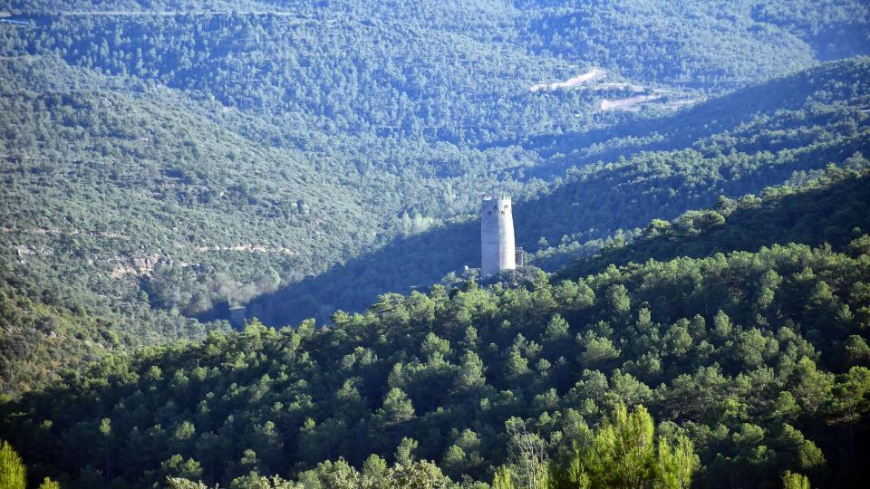 Vista de la torra 27 de Setembre de 2025 Vista de la torra Vallferosa - Ramon Sunyer