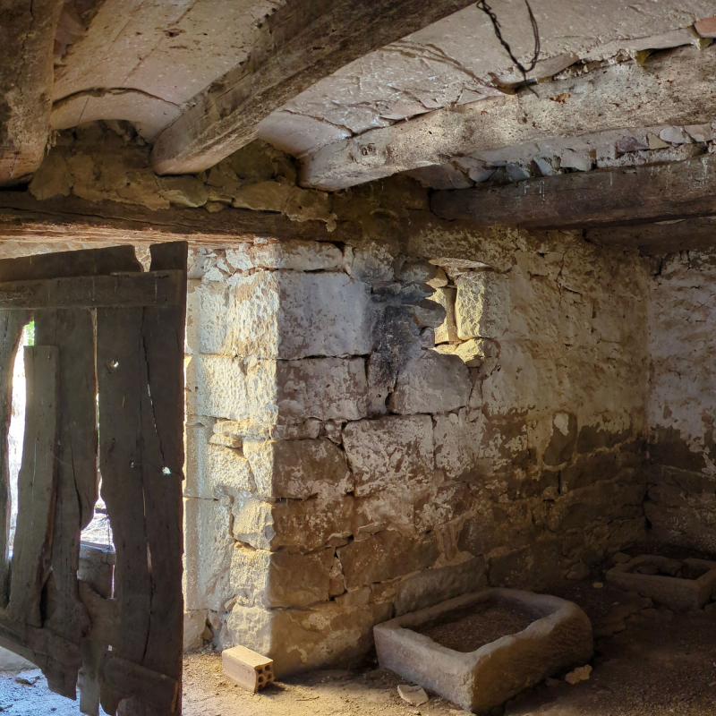 28 de Octubre de 2025 Mas de la Serra de Castellar  Oliola -  Ramon Sunyer