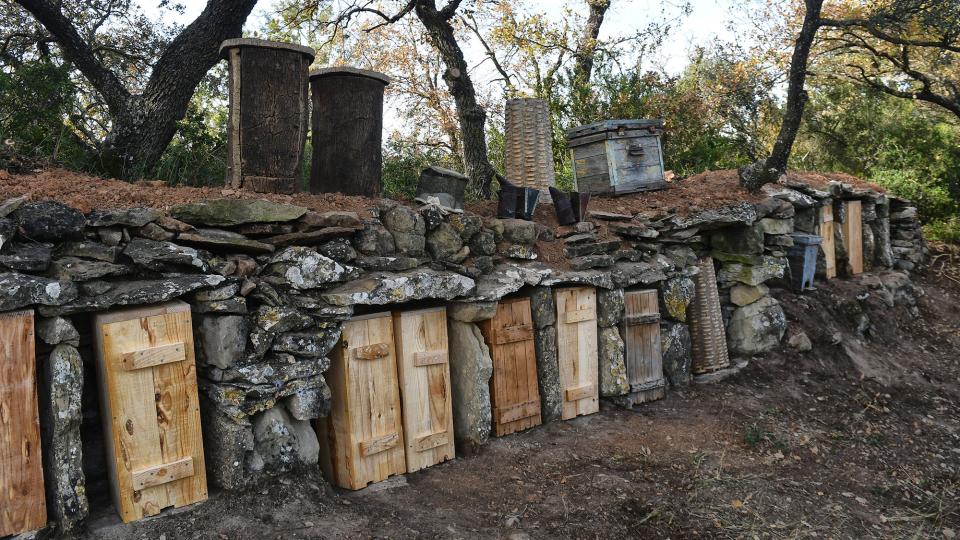 23 de Novembre de 2025 Arneres del Mas l'Oliva  El Soler -  Ramon Sunyer