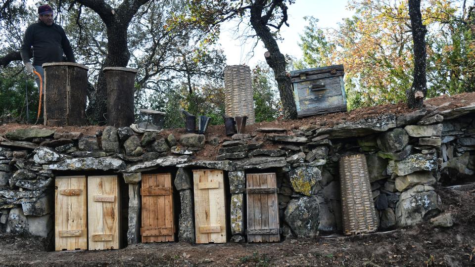 23 de Novembre de 2025 Arneres del Mas l'Oliva  El Soler -  Ramon Sunyer