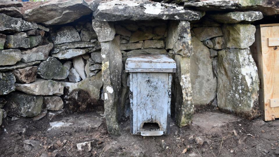 23 de Novembre de 2025 Arneres de ca l'Oliva  El Soler -  Ramon Sunyer