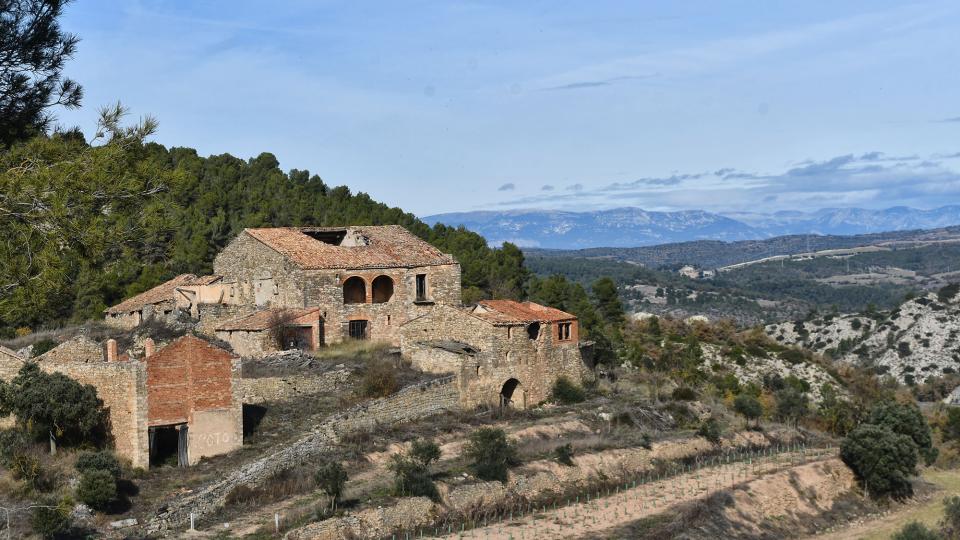 23 de Novembre de 2025 Mas l'Oliva  El Soler -  Ramon Sunyer