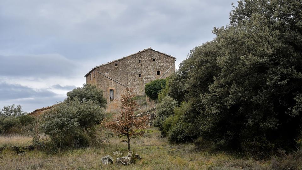29 de Desembre de 2025 Mas d'en Forn  Lloberola -  Ramon Sunyer