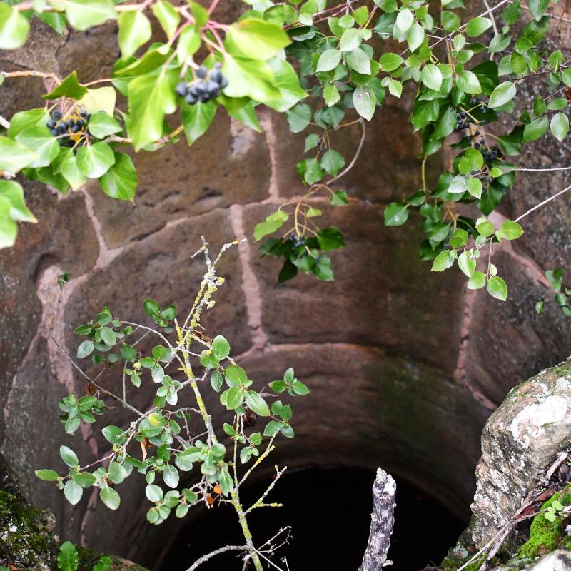 29 de Desembre de 2025 Cup de Mas d'en Forn  Lloberola -  Ramon Sunyer