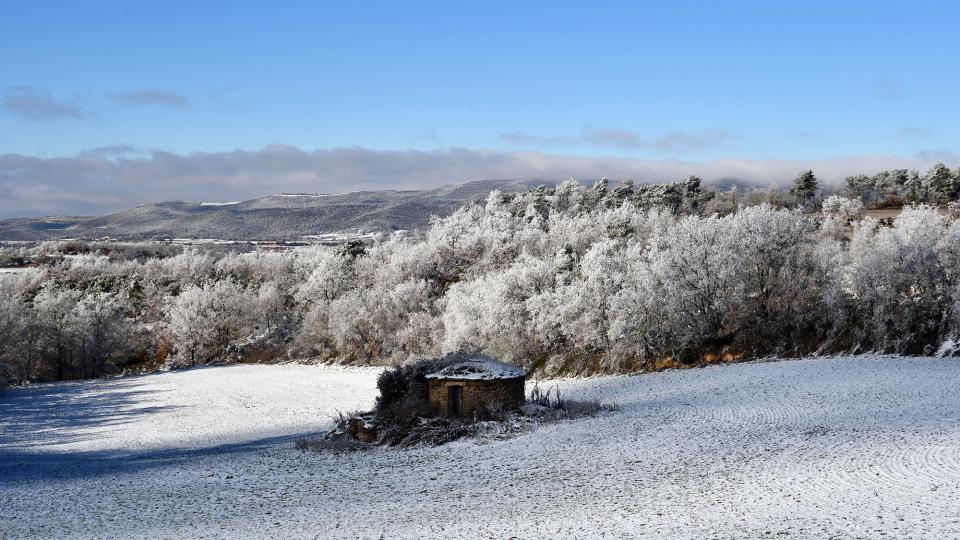 6 de Gener de 2026 cabana  Prades de la Molsosa -  Ramon Sunyer