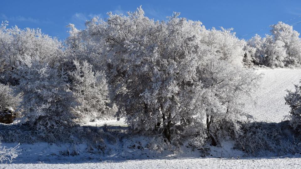 6 de Gener de 2026 paisatge  Prades de la Molsosa -  Ramon Sunyer