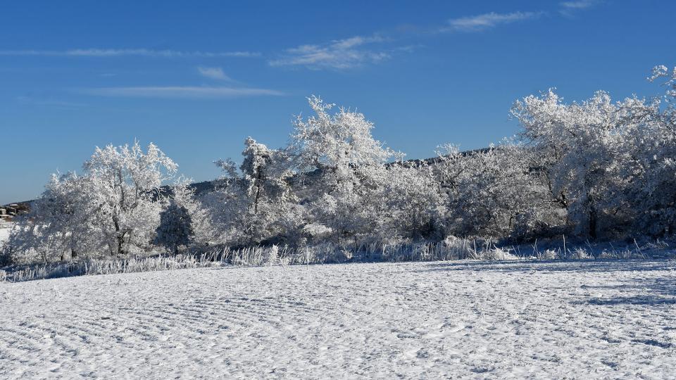 6 de Gener de 2026 paisatge nevat  Prades de la Molsosa -  Ramon Sunyer