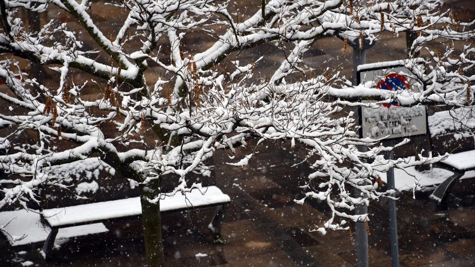 5 de Gener de 2026 Nevada  Torà -  Ramon Sunyer