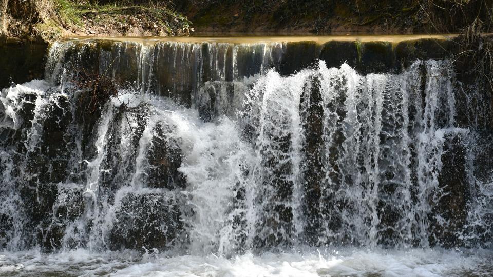 9.2.2026 Peixera  Sanaüja -  Ramon Sunyer