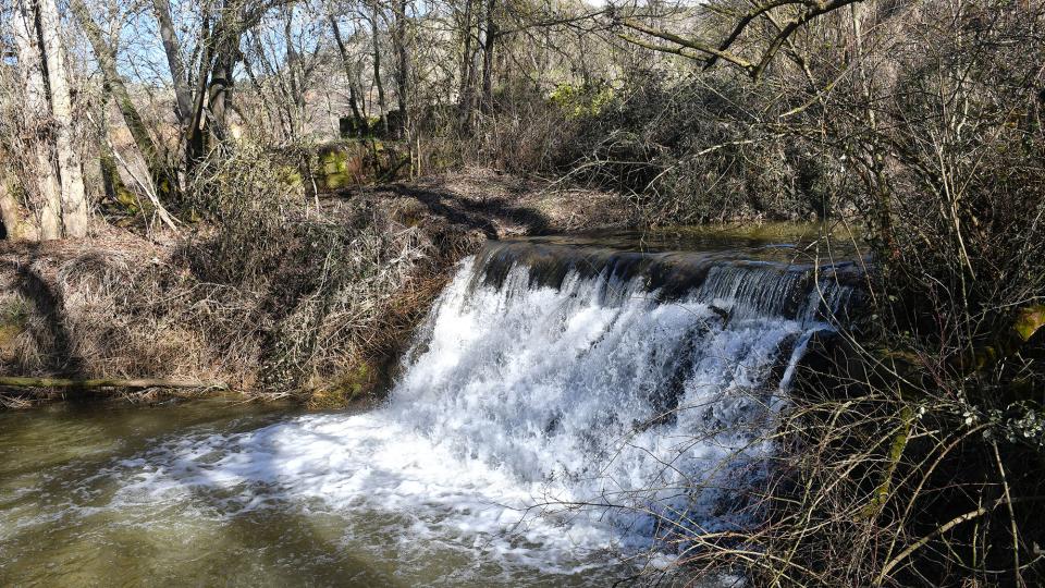 8.2.2026 Peixera del Molí del Cava  Puig-Arner -  Ramon Sunyer