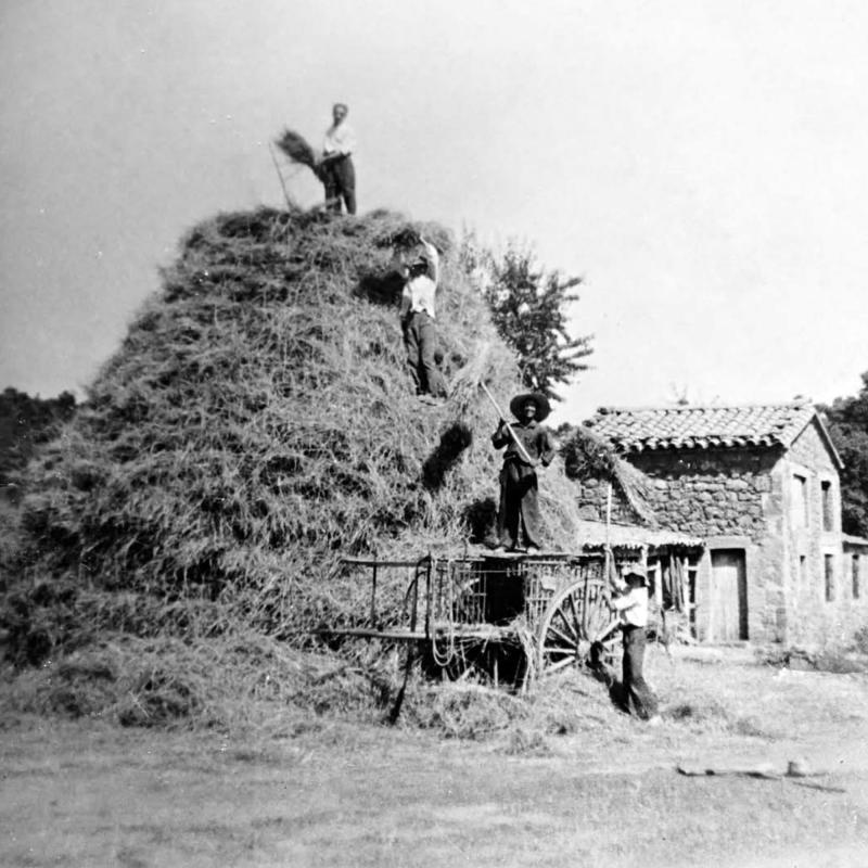 1 de Juliol de 1957 - Sellat de garbes, mas Fustagueres - Vallferosa - Desconegut
