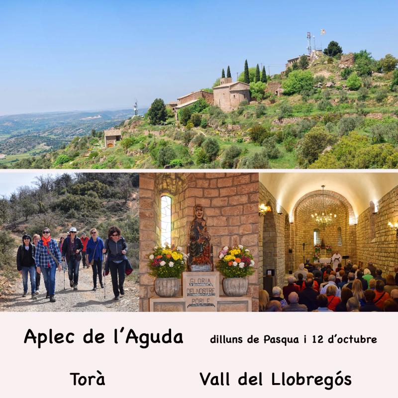 cartell Aplec de l'Aguda 2026