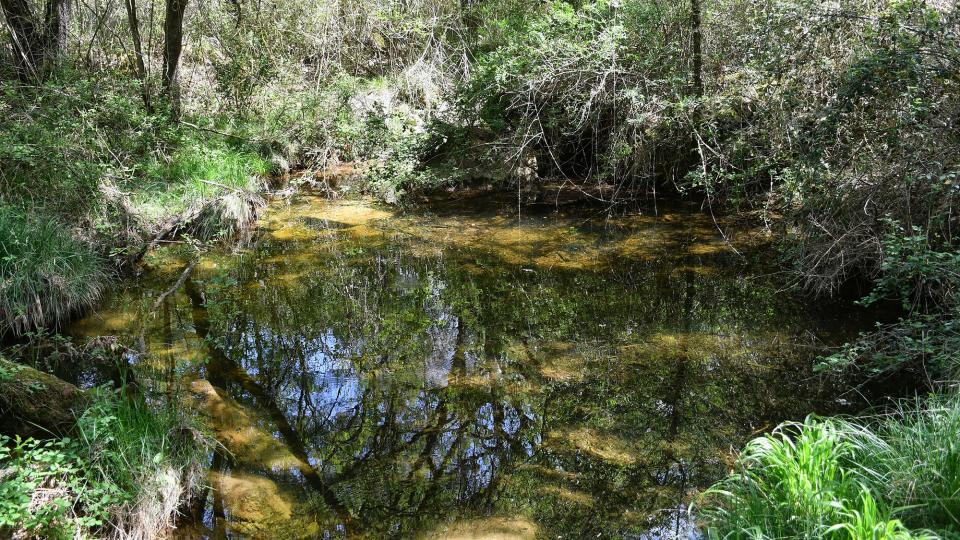 26 de Abril de 2026 Riera  Claret -  Ramon Sunyer