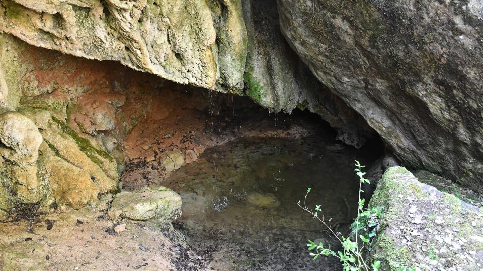 26 de Abril de 2026 Font de Ternàs  Claret -  Ramon Sunyer