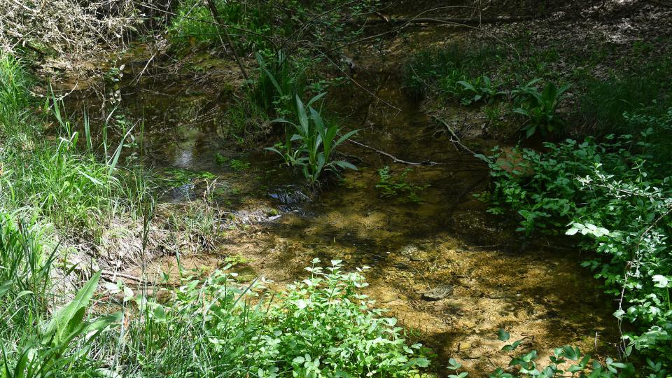 26 de Abril de 2026 Riera  Claret -  Ramon Sunyer