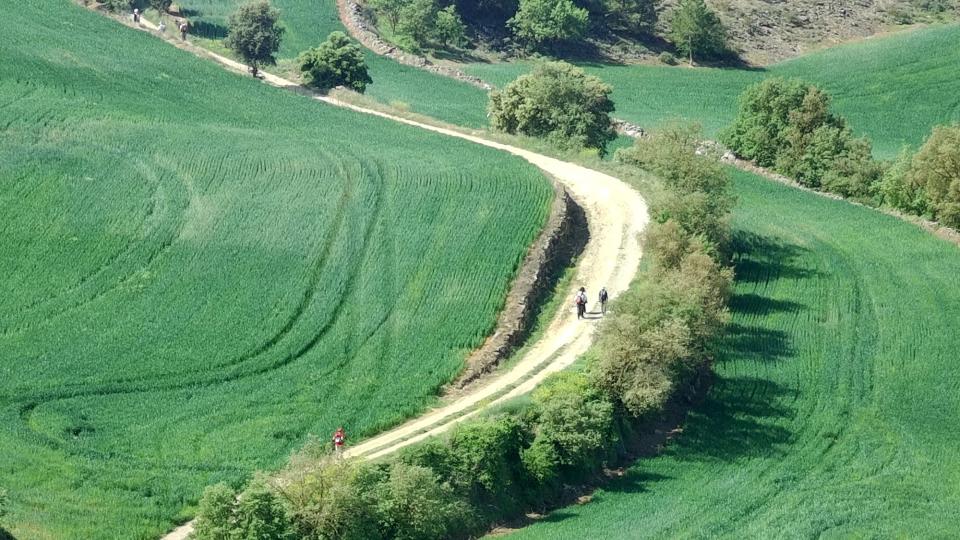 26 de Abril de 2026 Enfilant cap a Sant Donat  Claret -  Ramon Sunyer