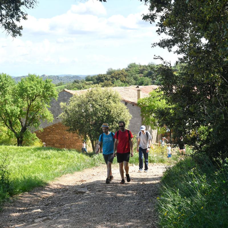 26 de Abril de 2026 Sortida de Claret  Claret -  Ramon Sunyer