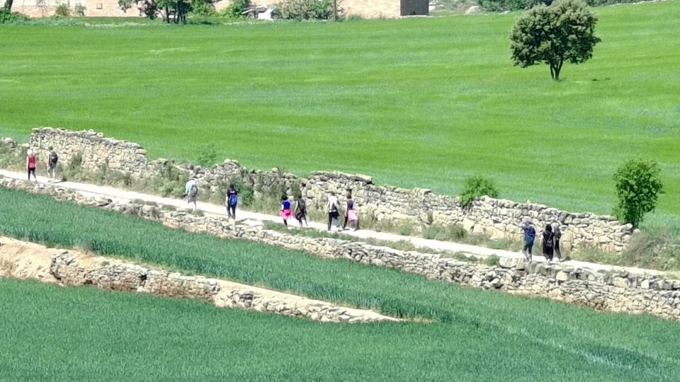 26 de Abril de 2026 Baixant de Sant Donat  Torà -  Ramon Sunyer