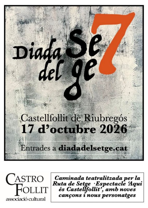 cartell 7a Diada del Setge