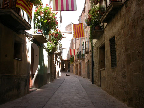 2 de Setembre de 2005 Carrer Nou  Torà -  Ramon Sunyer