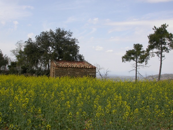 10 de Abril de 2006 La primavera  Torà -  Ramon Sunyer