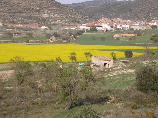 15 de Abril de 2006 Vista panoràmica del poble envoltat de sembrats  Torà -  Ramon Sunyer