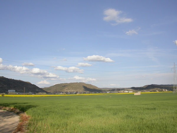 15 de Abril de 2006 Panoràmica dels sembrats  Torà -  Ramon Sunyer