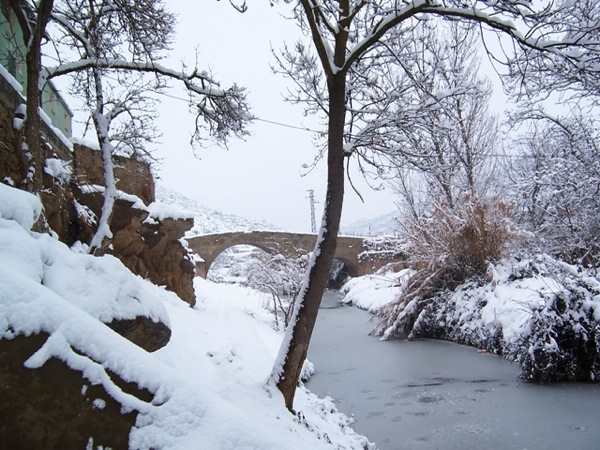 28.1.2006 Pont Merites  Torà -  J.Gatnau Grau