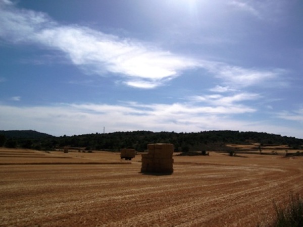 10 de Juny de 2006 Bales de palla rodones  Segarra -  Josep Gatnau