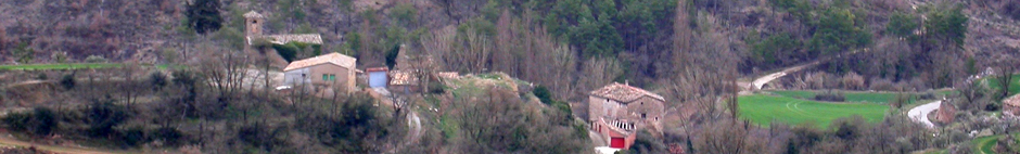 vista general de cellers vista general de cellers Torà - editor
