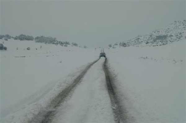 28 de Gener de 2006 Carretera Torà-Ponts  Torà -  Xavi