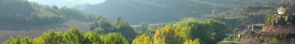 vista general de fontanet vista general de fontanet Torà - editor