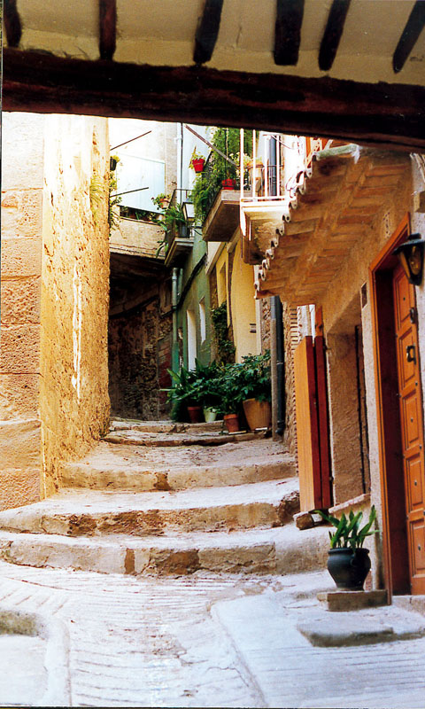 4 de Febrer de 2005 Carrer Vell  Torà -  Ramon Sunyer