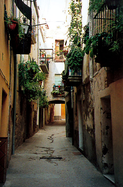 4 de Febrer de 2005 Carrer Baix  Torà -  Ramon Sunyer