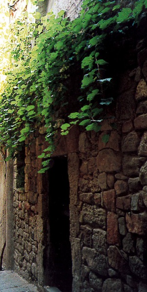 4 de Febrer de 2005 Carrer Forn  Torà -  Ramon Sunyer