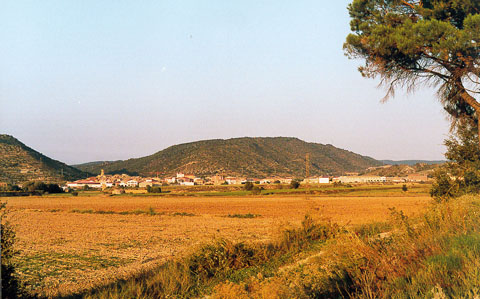 4 de Febrer de 2005 Vista general sud  Torà -  Ramon Sunyer