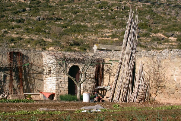 4 de Febrer de 2005 Horts  Torà -  Ramon Sunyer