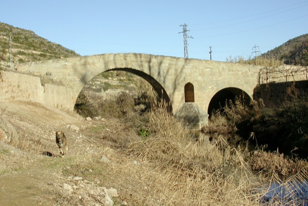 4 de Febrer de 2005 Vista del Pont de les Merites  Torà -  Ramon Sunyer