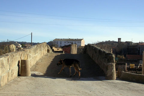 4 de Febrer de 2005 Pont de les Merites  Torà -  Ramon Sunyer