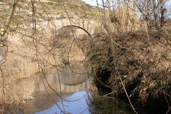 4 de Febrer de 2005 Vista del Pont de les Merites des del riu  Torà -  Ramon Sunyer