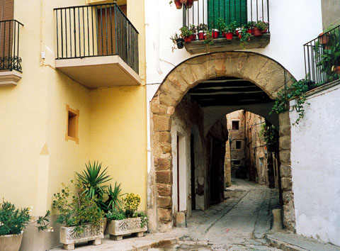 4.2.2005 Portal vell de l'Ofrera  Torà -  Ramon Sunyer