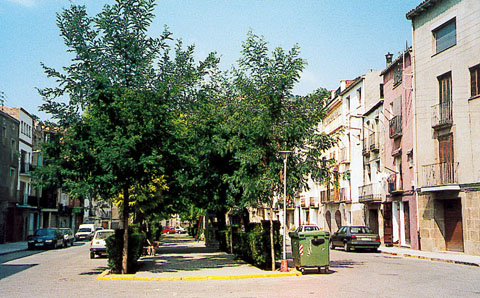 4 de Febrer de 2005 Plaça del vall            Torà -  Ramon Sunyer