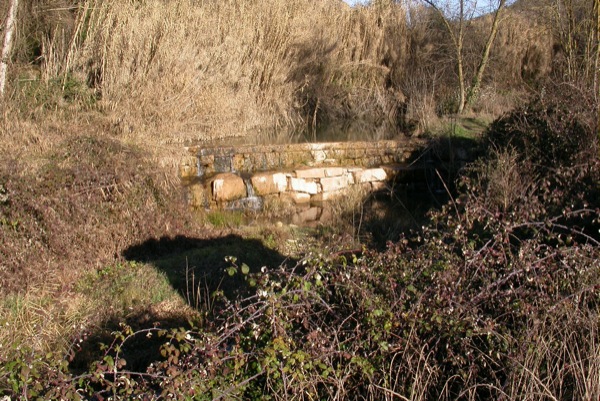 4 de Febrer de 2005 Voltants de la Riera Llanera  Torà -  Ramon Sunyer