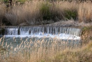 Fontanet: la peixera de fontanet  Ramon Sunyer